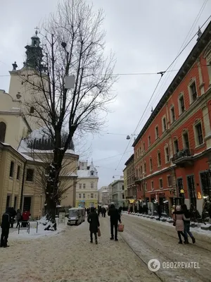 Львов в объективе зимы: Фото, которые заслуживают внимания