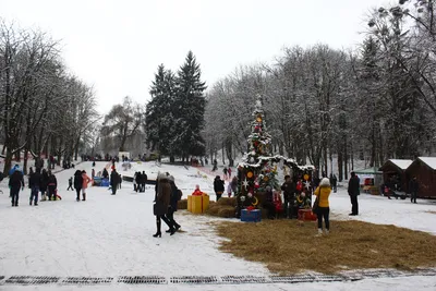 Фотографии Львова зимой: Вдохновение в каждом кадре