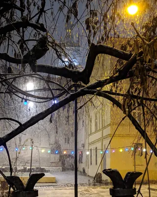 Фотографии Львова зимой: Волшебство каждого снежинка