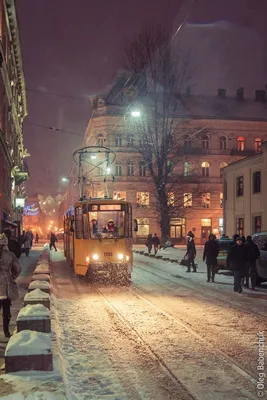 Фото Львова зимой: Зимние Прогулки по Улочкам