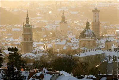 Зима в Львове: Коллекция Фотографий Города