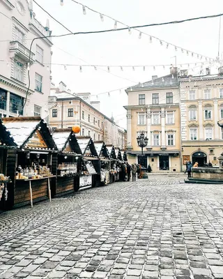 Фотографии Львова в Зимний Период: Снежная Романтика