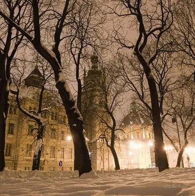 Фотографии Львова в Зимнем Обличье: Сказочная Атмосфера