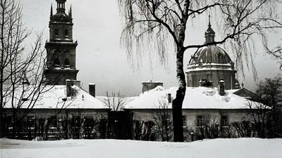 Зимний Львов: Фотографии для Скачивания в Популярных Форматах