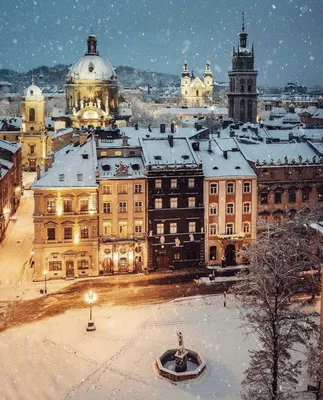 Львов зимой: Коллекция Фотографий Снежного Города
