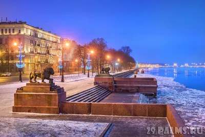 Фотографии львов на набережной: величие природы