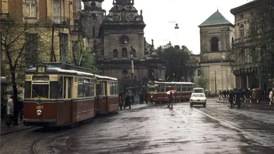 Картинки старых львов в высоком разрешении