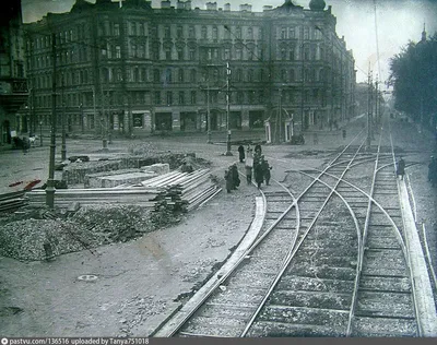 Львы старые на фотографии