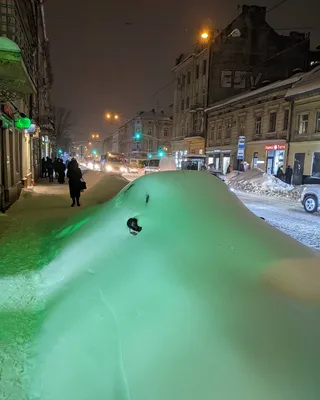 Фотография льва зимой: запах опасности и свободы в воздухе