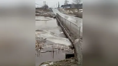 Лысые горы саратовская область фотографии