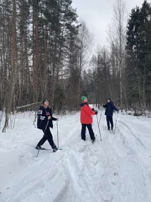 Красота зимнего спорта: фото лыжников в окружении заснеженных деревьев