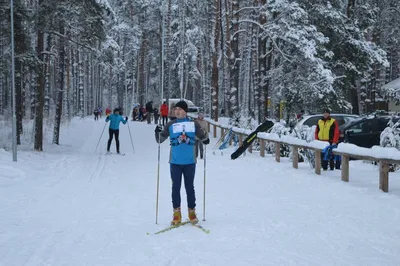 Фон с изображением лыжников в лесу