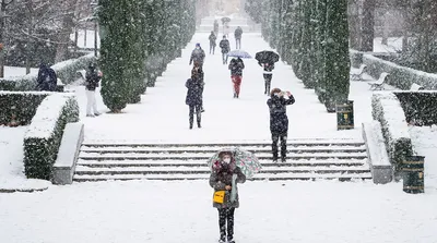 Изысканные зимние моменты в Мадриде: загрузка фотографий