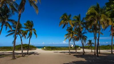 Фото Майами бич пляжей: выберите размер изображения и формат