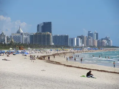 Новые картинки Майами бич пляжей для скачивания