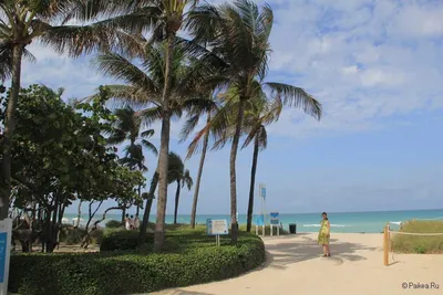 Фото Майами бич пляжей: скачать бесплатно в Full HD