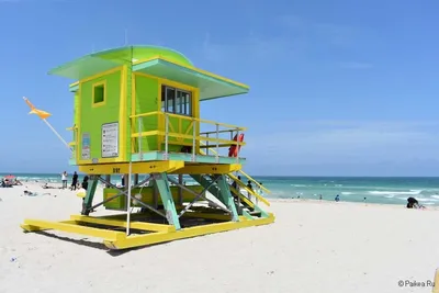 Исследуйте Майами бич пляжи через объектив камеры