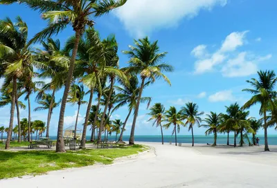 Скачать бесплатно фото Майами бич пляжей в хорошем качестве