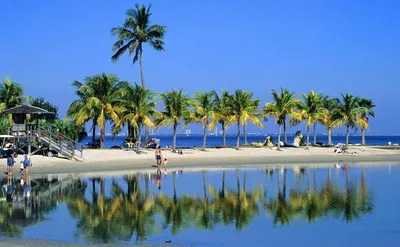 Арт фото Майами пляжей для скачивания