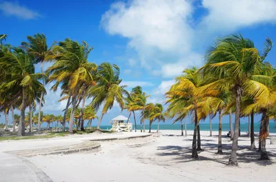 Фото Маями пляжа в формате JPG, PNG