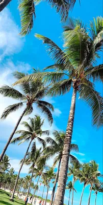 Майами пляж: красота белого песка и теплой воды. Фотоотчет!
