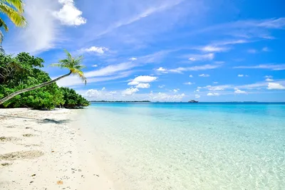 Новые изображения Маями пляжа для скачивания