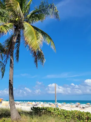 Фотографии Майами пляжа: идеальное место для отдыха и фотосъемки.