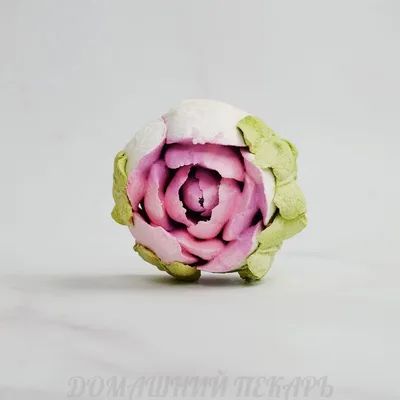 Фотография розы майского цветения в формате jpg: выберите и сохраните