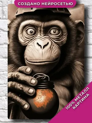 Фото природы с обезьянами: Бесплатные загрузки