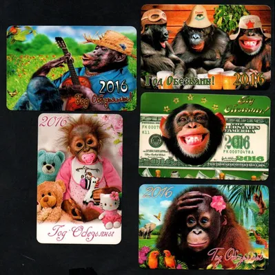 Макаки на ветках смеха: фотографии прикольных обезьян