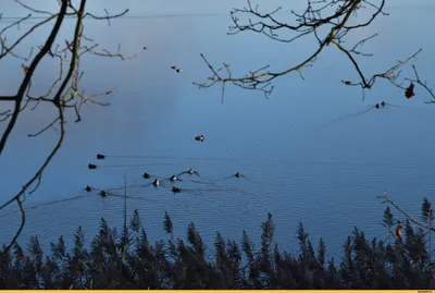 Фотографии Махово озеро Чехия: Погрузитесь в мир природы