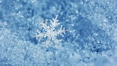 Макро-эстетика зимы: Фотографии красивых зимних форм в высоком разрешении