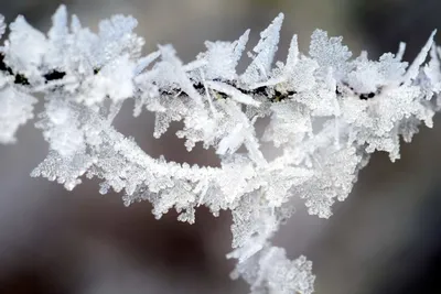 Фотографии зимних чудес: Макросъемка великолепных моментов