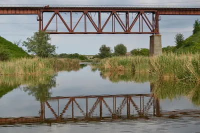 Фото Мала виска для загрузки