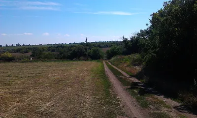 Фото Мала виска с возможностью выбора размера