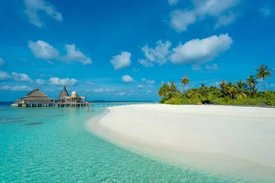 Мальдивы пляж  фото