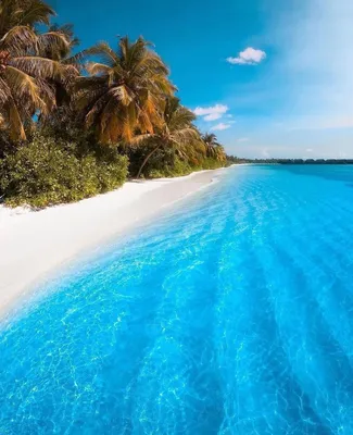 Мальдивы пляж фотографии