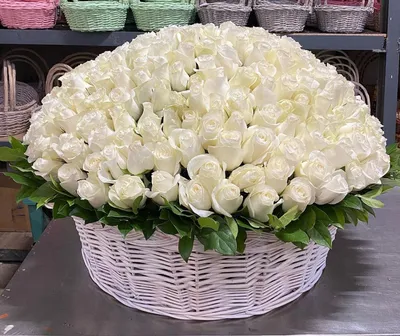 Маленькие белые розы на фото - изображение в webp
