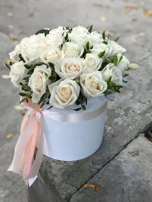 Фото, показывающее маленькие белые розы - картинка в jpg