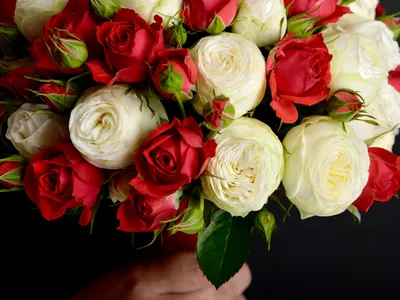 Красивые маленькие белые розы - изображение в webp