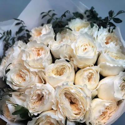 Маленькие белые розы на фото - фото в формате jpg