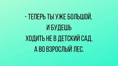 Фото, которые заставят вас улыбнуться и почувствовать радость