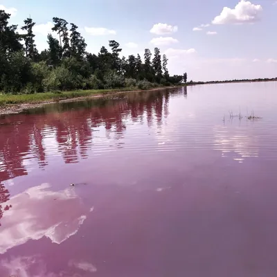 Все размеры фото Малинового озера Алтая для выбора