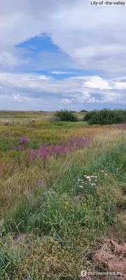 Бесплатные фотографии в хорошем качестве: любуйтесь Малиновым озером алтай