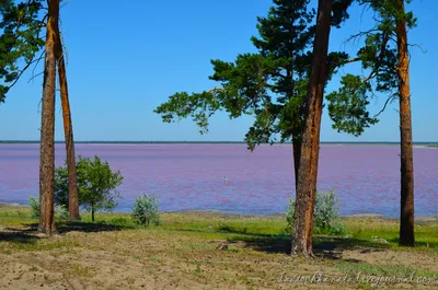 Лучшие фотографии Малинового озера в алтайском крае: скачивайте бесплатно