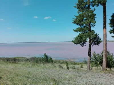 Фотка природы: Малиновое озеро в Михайловском районе Алтайского края