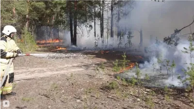 Фото на андроид Малинового озера - скачайте бесплатно для вашего устройства