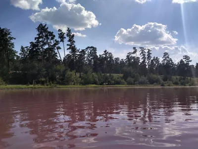 Удивительные отражения Малинового озера на фото