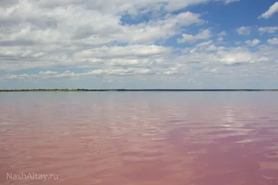 Волшебный мир Малинового озера на фотографиях