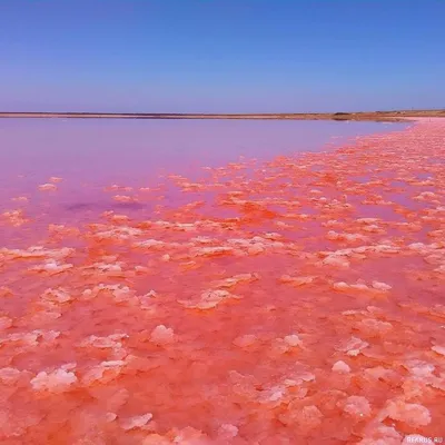 Удивительные виды Малинового озера на фото в Full HD